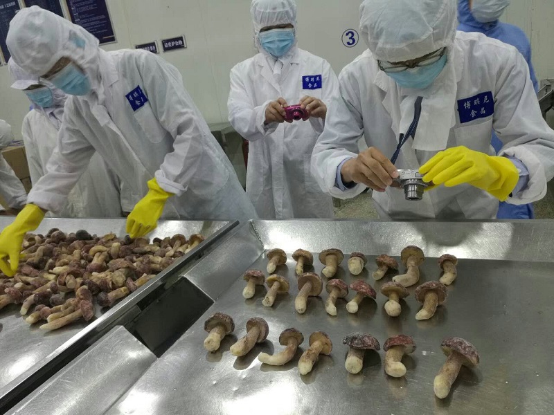 leyu·乐鱼(中国)有限公司官网
 迎来了首批日本客商到厂实地考察 并签订供货合同