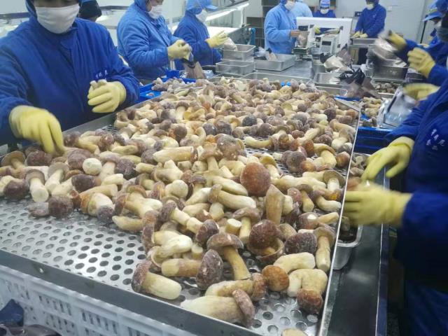 法国客商到大理leyu·乐鱼
考察参观